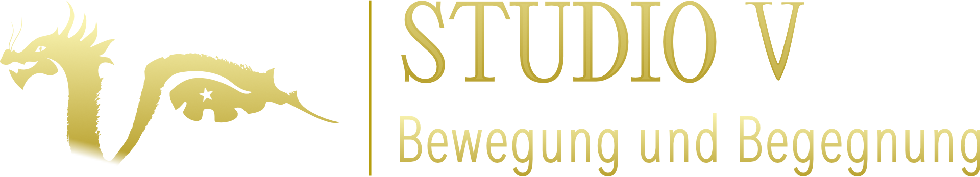 Logo Studio V - Bewegung und Begegnung